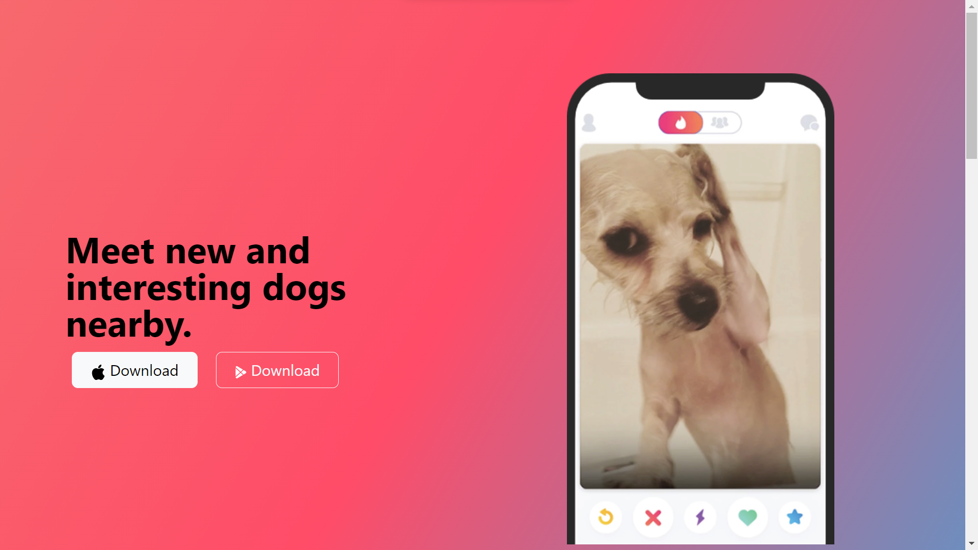 TinDog-image